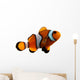 Tropical Clownfish Wall Decal