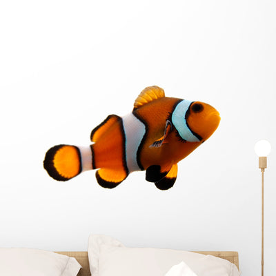 Tropical Clownfish Wall Decal shown on a wall