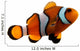 Tropical Clownfish Wall Decal
