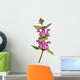 Spotted Deadnettle Lamium Maculatum Wall Decal