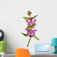 Spotted Deadnettle Lamium Maculatum Wall Decal