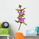 Spotted Deadnettle Lamium Maculatum Wall Decal