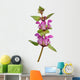 Spotted Deadnettle Lamium Maculatum Wall Decal