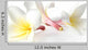 Flowers Frangipan Wall Decal