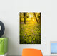 Sunrise Bluebell Woods Wall Decal