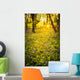 Sunrise Bluebell Woods Wall Decal