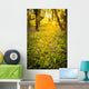 Sunrise Bluebell Woods Wall Decal