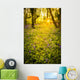 Sunrise Bluebell Woods Wall Decal