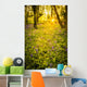 Sunrise Bluebell Woods Wall Decal