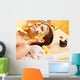 Woman Lying Down Getting Facial Mask Wall Decal