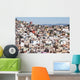 Zacatecas Word Heritage Site Wall Decal