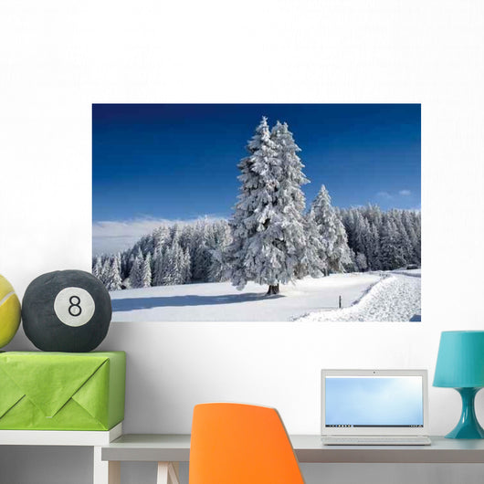 Winterlandschaft 6 Wall Decal