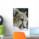 Wildlife and Animals Cheetah Wall Decal