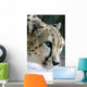 Wildlife and Animals Cheetah Wall Decal
