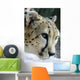 Wildlife and Animals Cheetah Wall Decal
