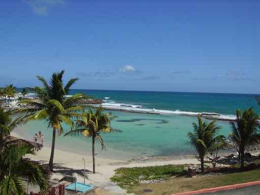 From Mer Caraibes Wall Decal