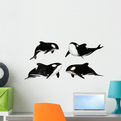 Killer Whale Pack Wall Decal shown on a wall