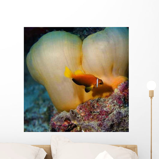Anemone Wall Decal