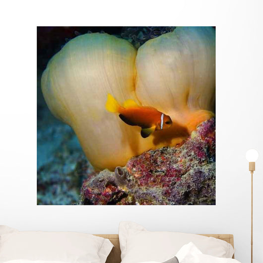 Anemone Wall Decal
