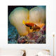 Anemone Wall Decal