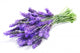 Bundle of Lavender Wall Decal
