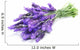 Bundle of Lavender Wall Decal