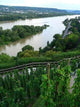 Vater Rhein Wall Decal