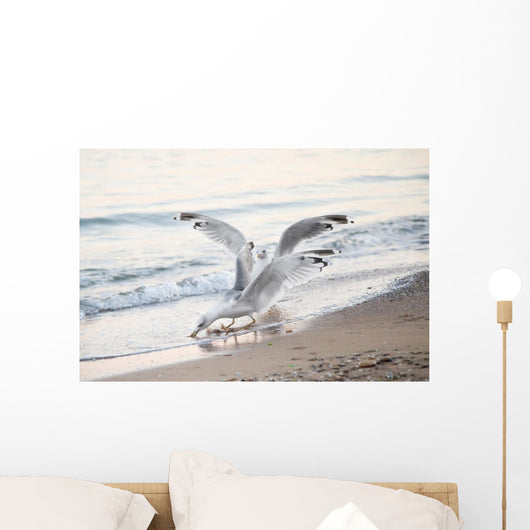 Seagulls Sea with Open Wall Decal
