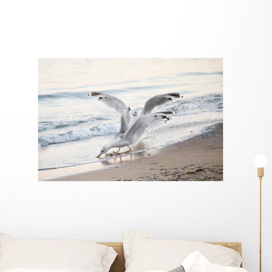 Seagulls Sea with Open Wall Decal