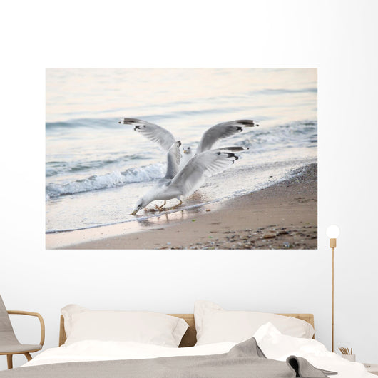 Seagulls Sea with Open Wall Decal