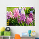Hyacinth Flowers Close-up Garden Wall Decal