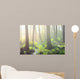 Forest Swamp Fog Sunrise Wall Decal