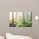 Forest Swamp Fog Sunrise Wall Decal