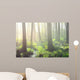 Forest Swamp Fog Sunrise Wall Decal