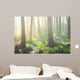 Forest Swamp Fog Sunrise Wall Decal