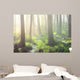 Forest Swamp Fog Sunrise Wall Decal