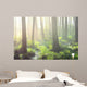 Forest Swamp Fog Sunrise Wall Decal