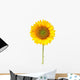 Sunflower White with Clipping Wall Decal