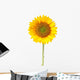 Sunflower White with Clipping Wall Decal