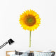 Sunflower White with Clipping Wall Decal
