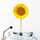 Sunflower White with Clipping Wall Decal