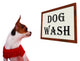 Dog Wash Sign Showing Wall Decal