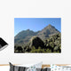 MT Kilimanjaro Wall Decal