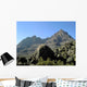 MT Kilimanjaro Wall Decal