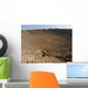 Impact Site Meteor Crater Wall Decal