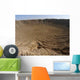 Impact Site Meteor Crater Wall Decal