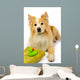 Dog Reading for Bath Wall Decal