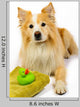 Dog Reading for Bath Wall Decal