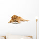 Golden Retriever Read Book Wall Decal
