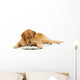 Golden Retriever Read Book Wall Decal